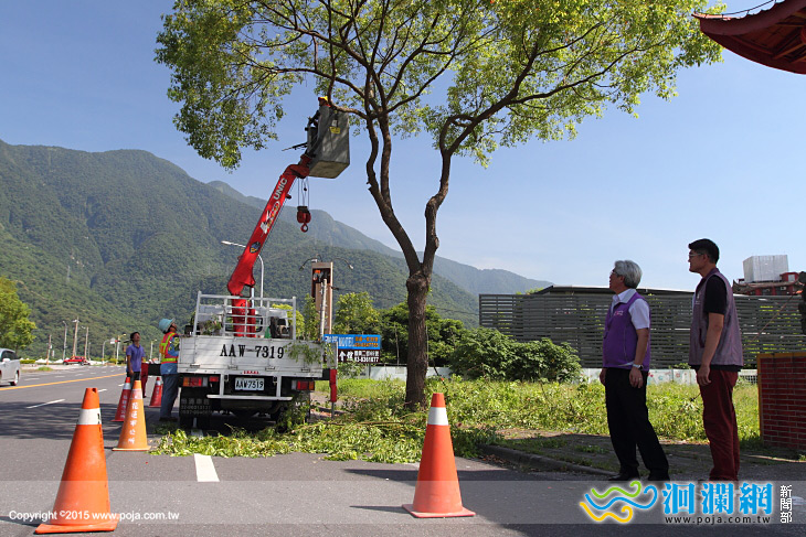 花蓮市公所修剪路樹防颱兼顧市容