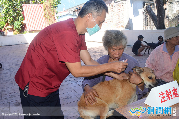 市公所狂犬注射-01.jpg