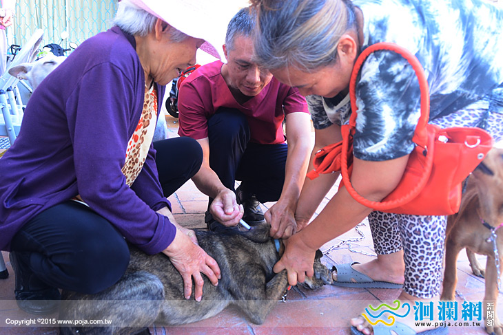 市公所狂犬注射-02.jpg