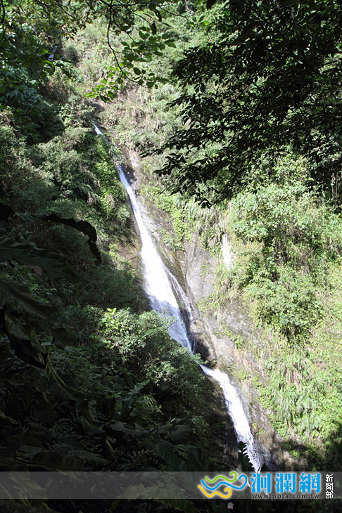 樹湖櫻花-09.jpg