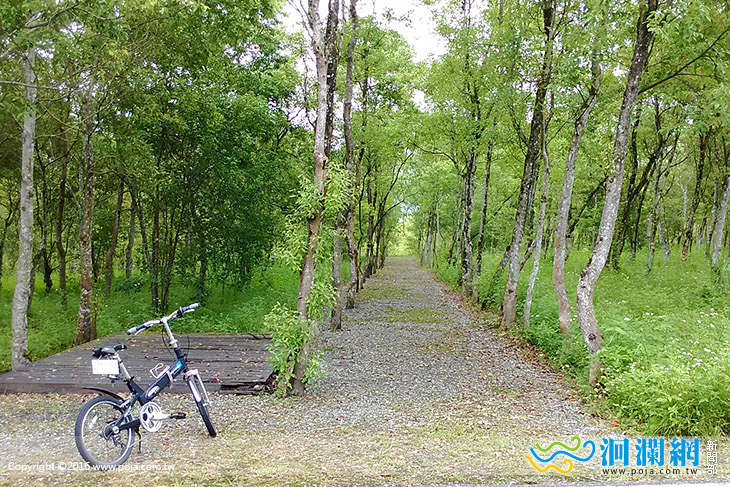 探尋綠野芳蹤─大農大富平地森林園區步道探索活