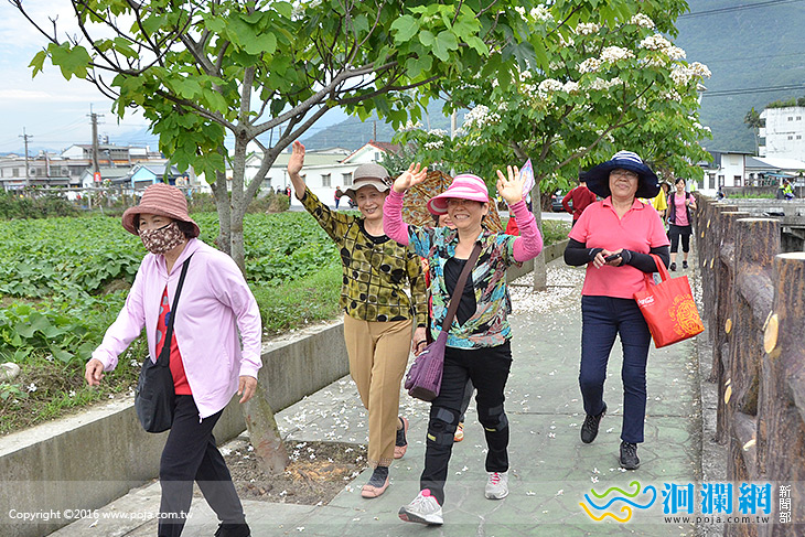 吉安桐花祭健行趣 週六登場