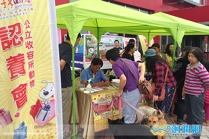 本週六日毛小孩認養活動