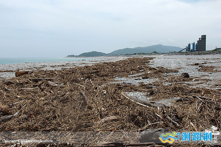 南濱公園至化仁海堤，海灘漂流木8/1開放撿拾