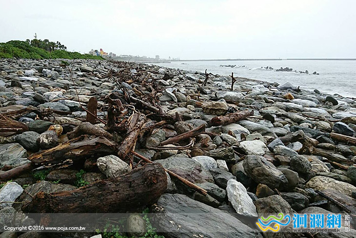 南濱公園至化仁海堤海灘漂流木10/17開放撿拾