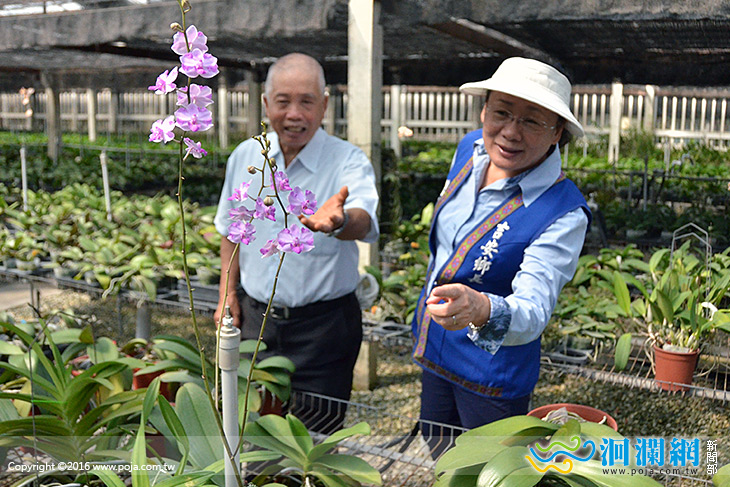 光豐吉安蘭園專業育種家劉定榮榮獲105年優秀農