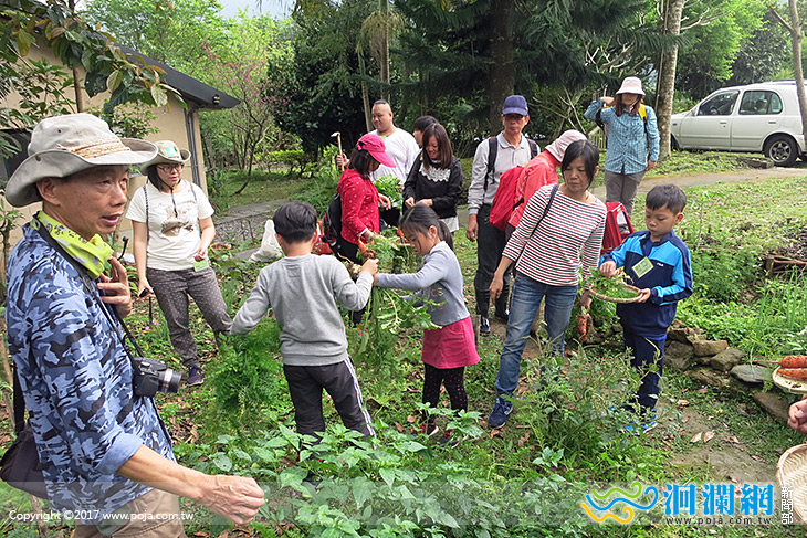 登山健走、掃墓整理農地，作好防護避免恙蟲上身
