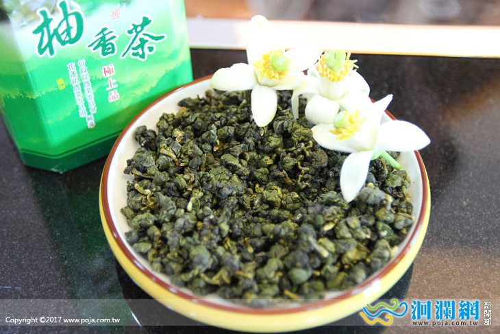 東部特色春茶，新鮮上市