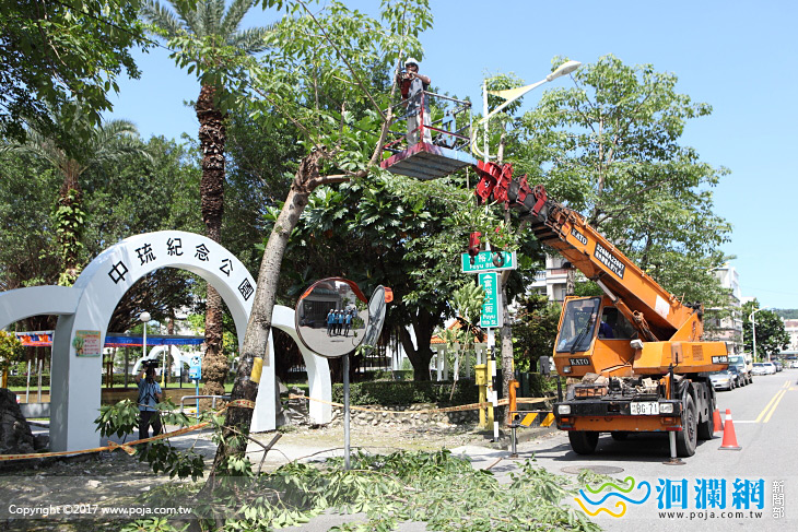 中琉公園人行道鋪面將修繕木棉樹先移植