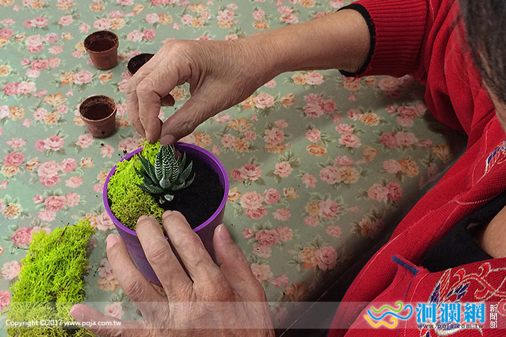 多肉盆栽融入課程，失智患者療癒緩退化