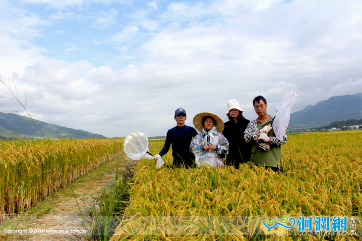 國家環境教育獎初審出爐 花蓮代表隊出征全國賽