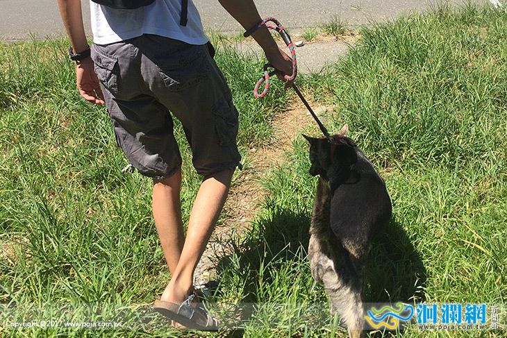 花蓮家扶釣竿青年社區服務，期望大眾給流浪狗一個