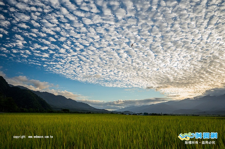 花蓮影視協拍中心 隱身花蓮的潛力場景報你知 歡