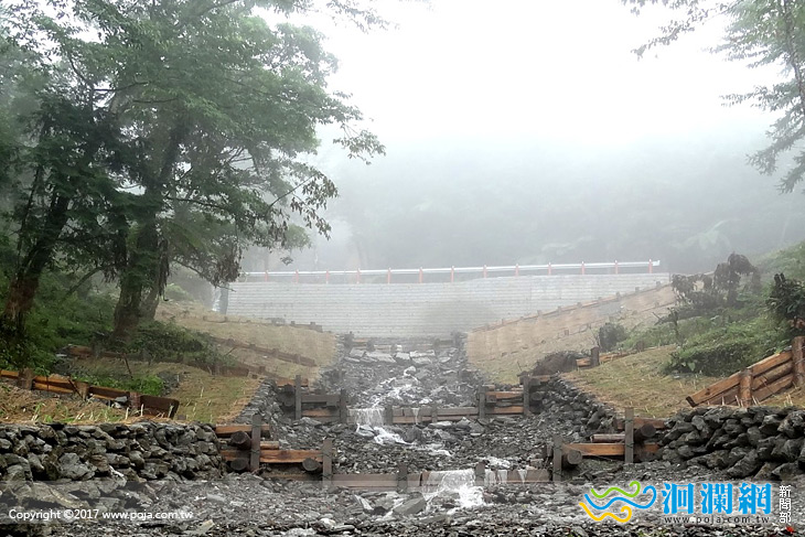 林管處利用國產疏伐木穩定林道坡面，兼顧生態與防