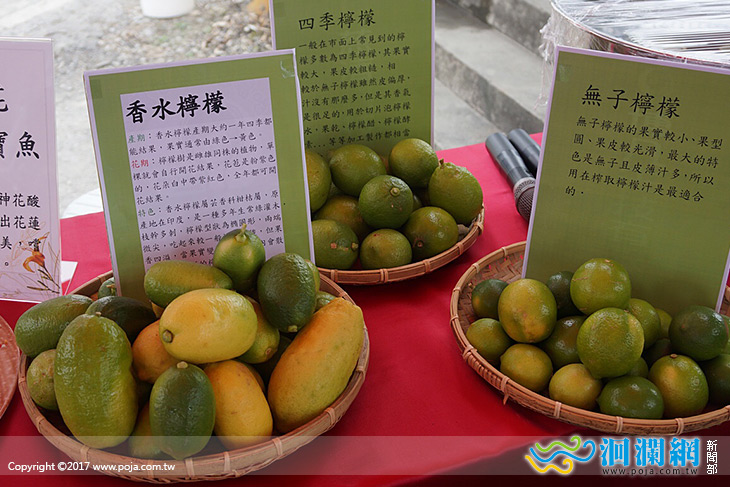 全台唯一有機檸檬花蓮上市