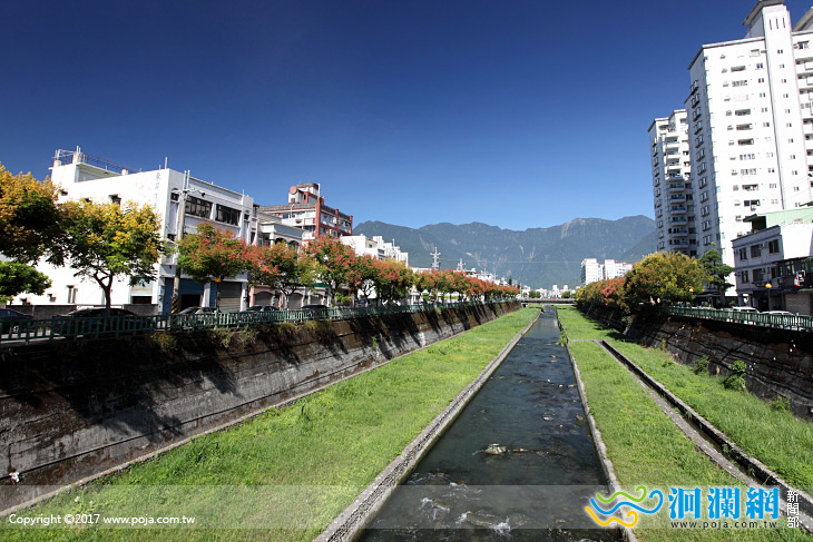 感受秋意，吉安溪臺灣欒樹美不勝收