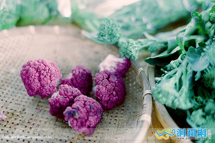 花蓮好事集喬遷，邀請大家來參加