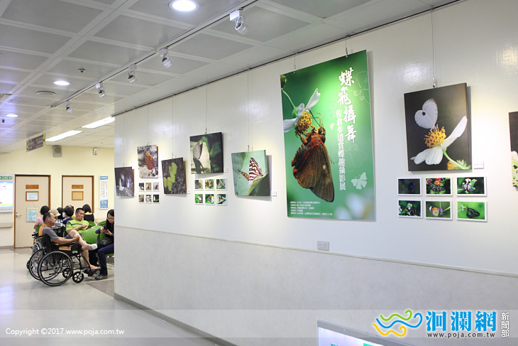 蝶飛攝舞作品義賣，所得助東部學子圓護理夢