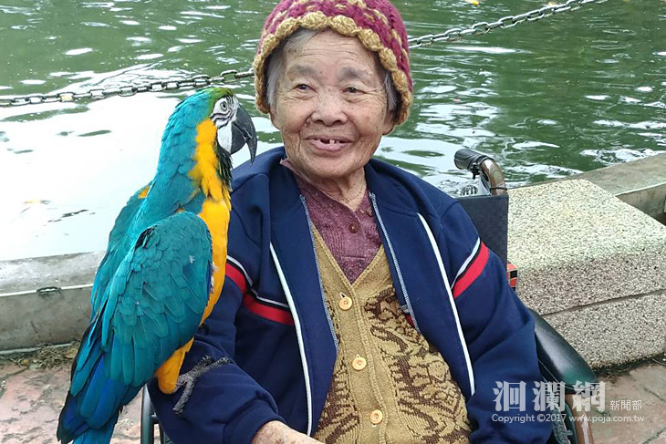 護家爺奶秋遊兆豐，奶奶見金剛鸚鵡樂秀日語