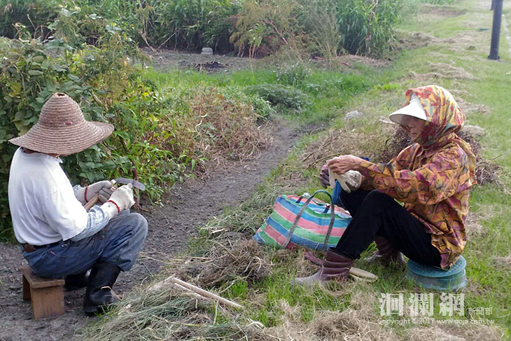 飲食護生態~慢食享健康