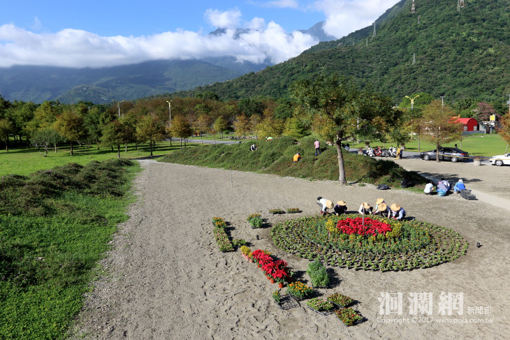有片-國福花海開放民眾參與，歡迎親子一同報名