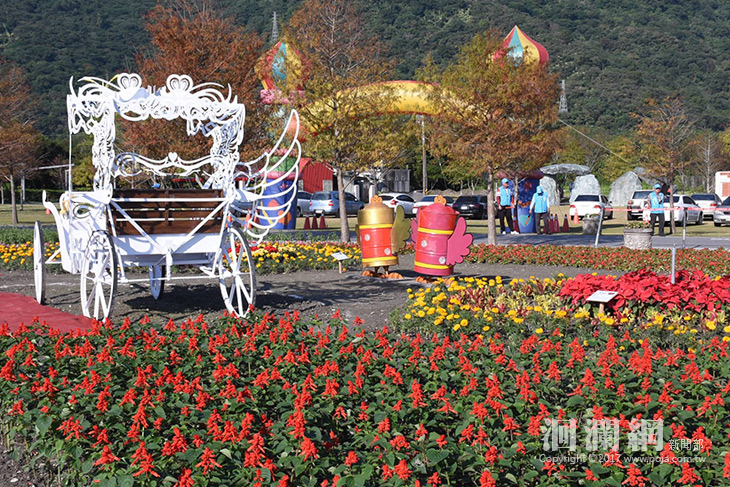 花蓮市國福花海今起熱情綻放