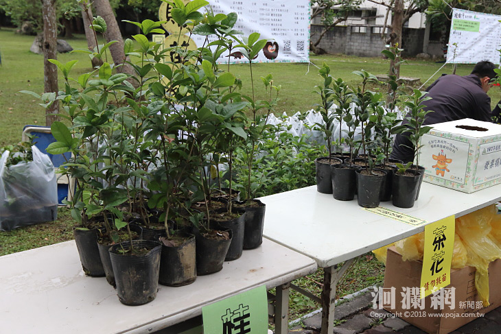 花蓮林管處「來池南帶小樹回家」開始報名