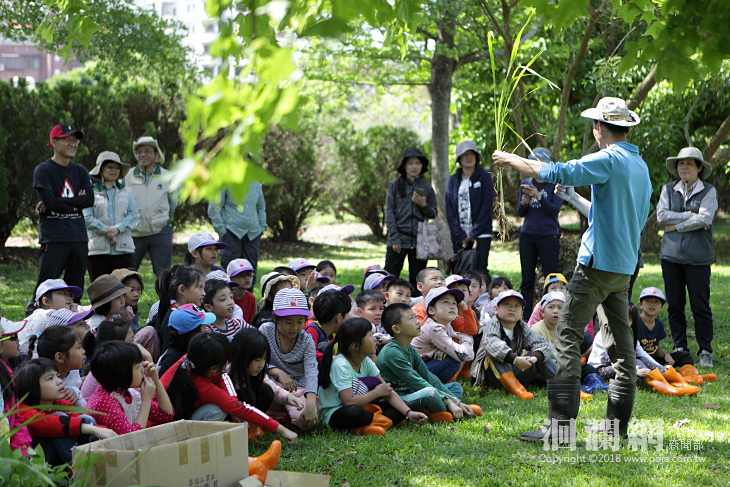 親手栽植原生種水柳，小二學童盼與其一同成長