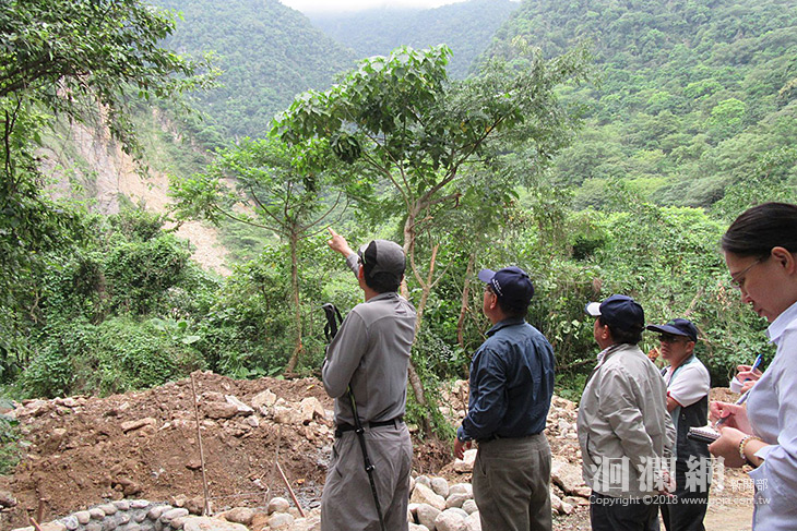 佐倉步道上方崩塌，初步調查無立即危害