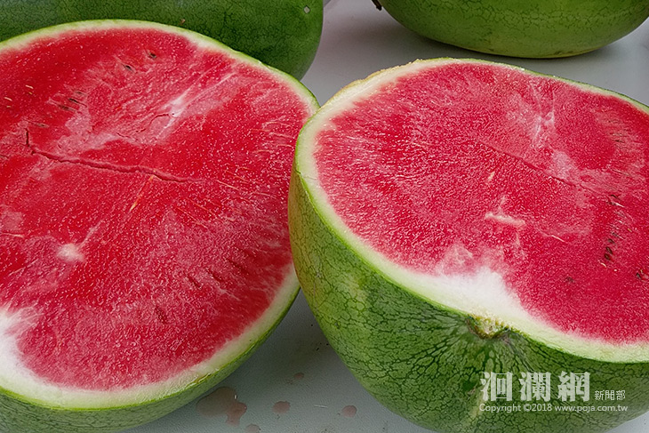 1200度的幸福脆甜，花蓮大西瓜帶來縱谷的沁涼