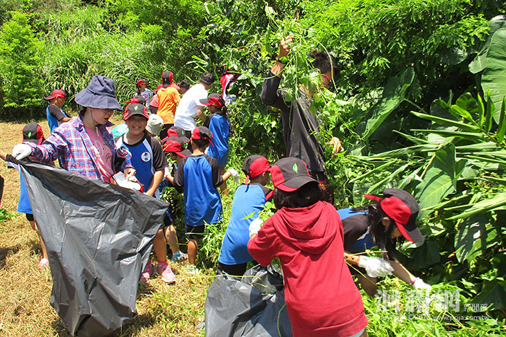 花蓮林區管理處與新社部落攜手移除入侵種小花蔓