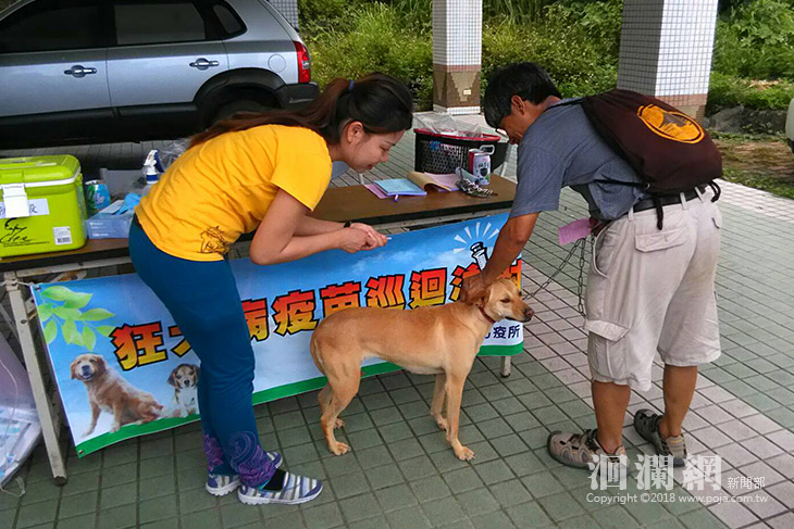 花蓮高風險地區鄉鎮免費犬貓狂犬病疫苗預防注射