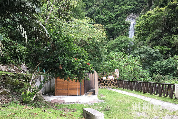 南安瀑布現熊寶寶，暫時封閉讓黑熊家族團圓