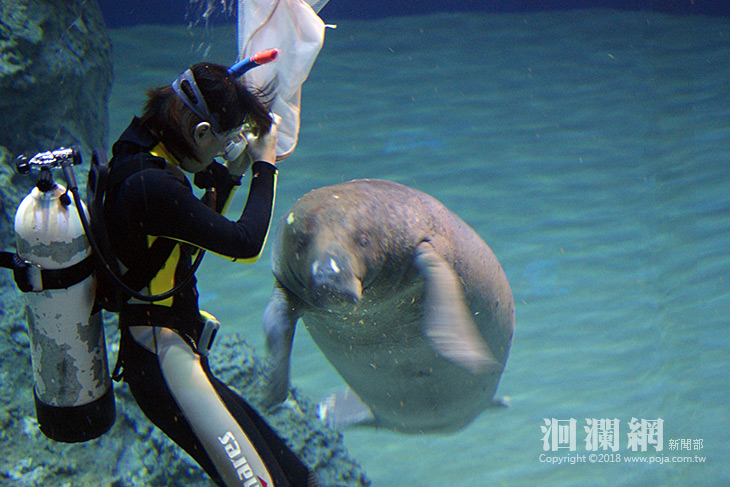 海洋公園-02.jpg