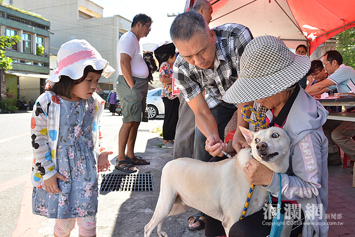 吉安鄉公所配合防疫所辦理犬貓3合1絕育計畫