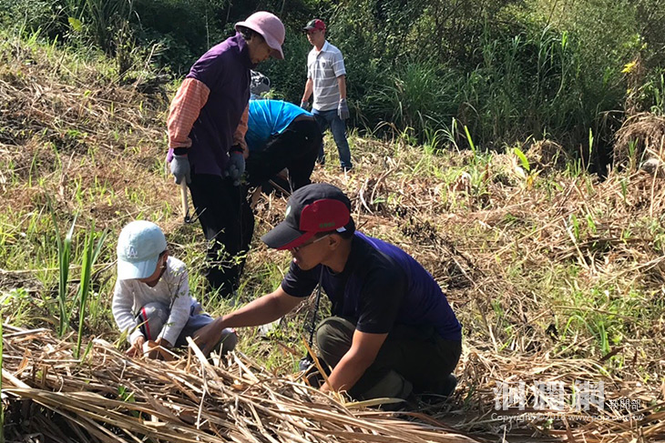 在地化從種樹做起