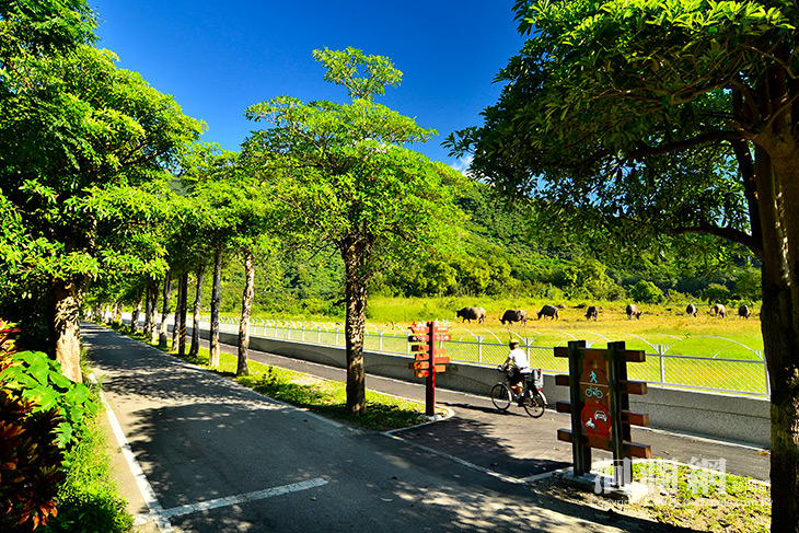 解決干城綠色廊道不再因大雨造成過水路面