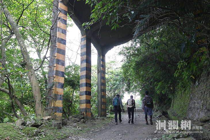 11/4佐倉健走活動開始受理報名