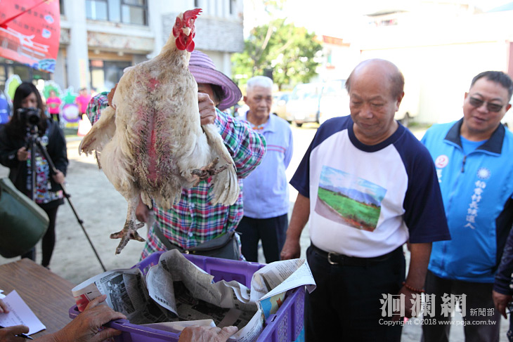 閹雞-03.jpg