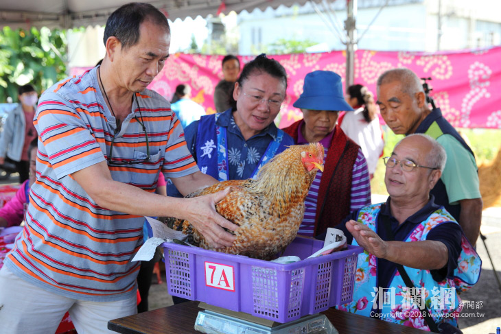 閹雞-04.jpg