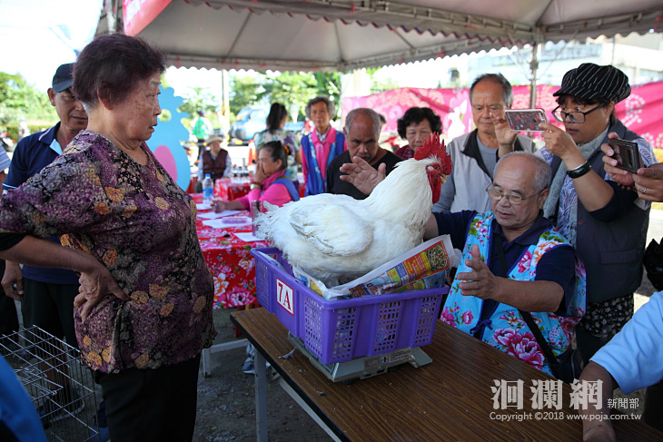閹雞-13.jpg