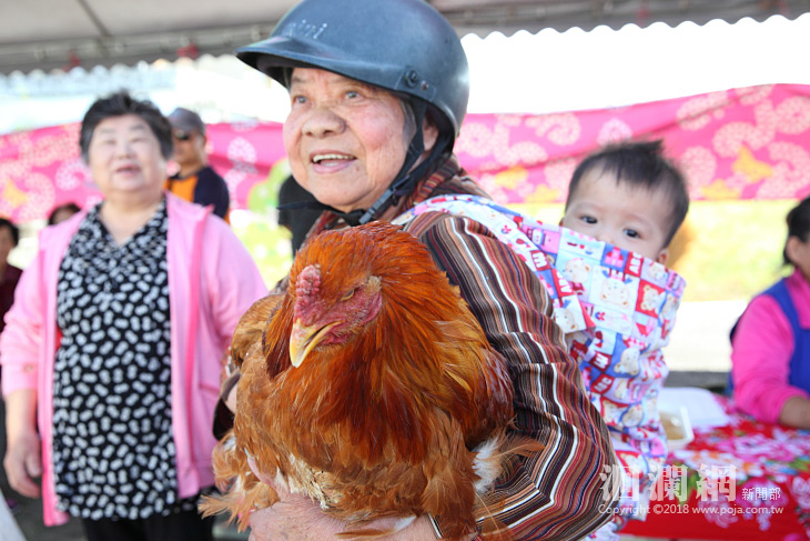 閹雞-08.jpg