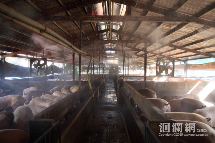 豬圈-06.jpg