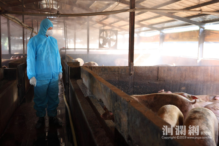 防堵非洲豬瘟入境，魏市長關心養豬場防疫措施