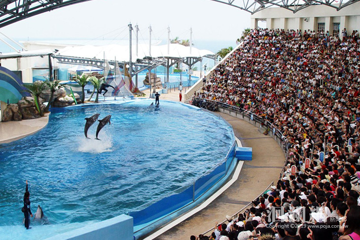 228連假12歲以下暢遊海洋公園只要228元