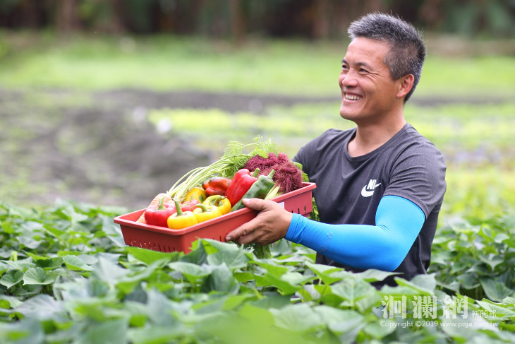 青年農友用心栽種花蓮縣國中小營養午餐有機蔬菜