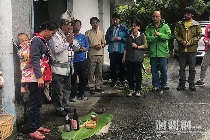 新社部落傳統民族植物-毛鞘蘆竹(Berden)回來了