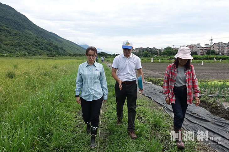  防疫秋行軍蟲，蕭美琴會勘花蓮農田