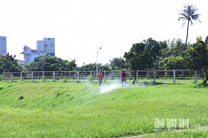 大本運動公園運動草皮改善整建，先行雜草清除作業