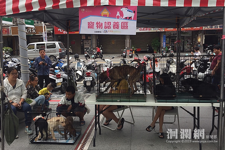 本週六日 給毛孩子一個溫暖的家活動